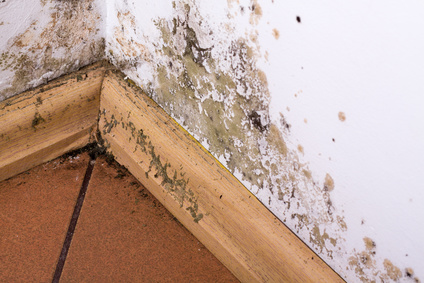 Commercial Mold Remediation - Georgia Water And Fire