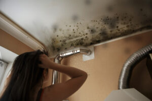 Close-up Of A Shocked Woman Looking At Mold On Wall