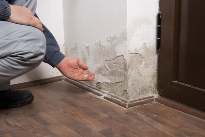Commercial Water Damage - Georgia Water And Fire