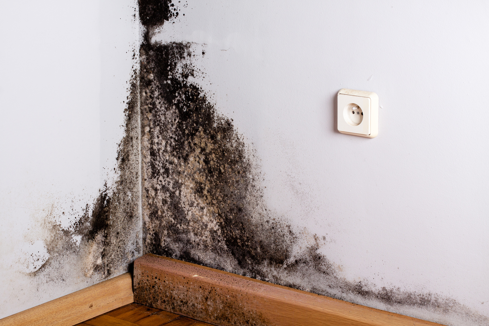 Commercial Mold Remediation - Georgia Water And Fire