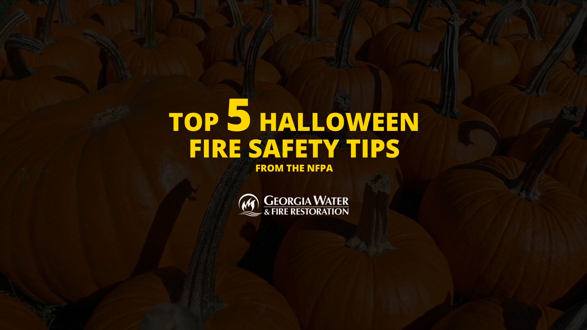 Halloween Tips infographic