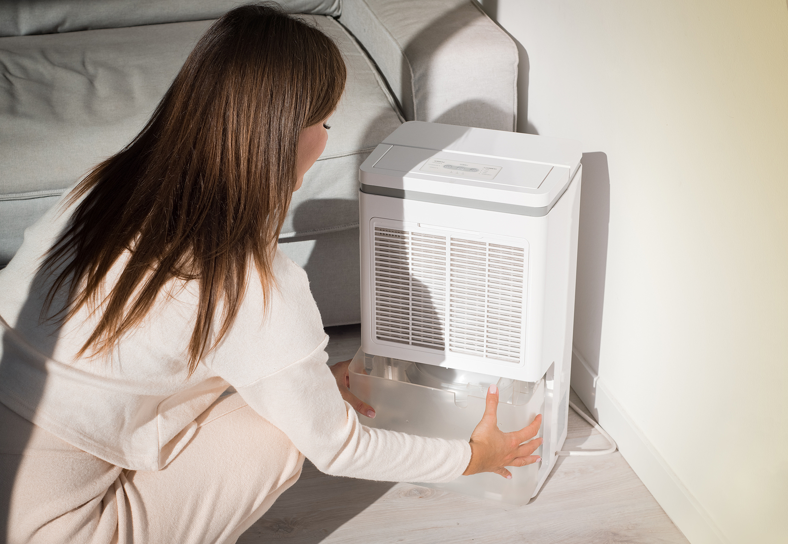 Woman Changing Water Container In Air Dryer, Dehumidifier, Humid Woman changing water container in air dryer, dehumidifier, humidity indicator. Humid air at home.