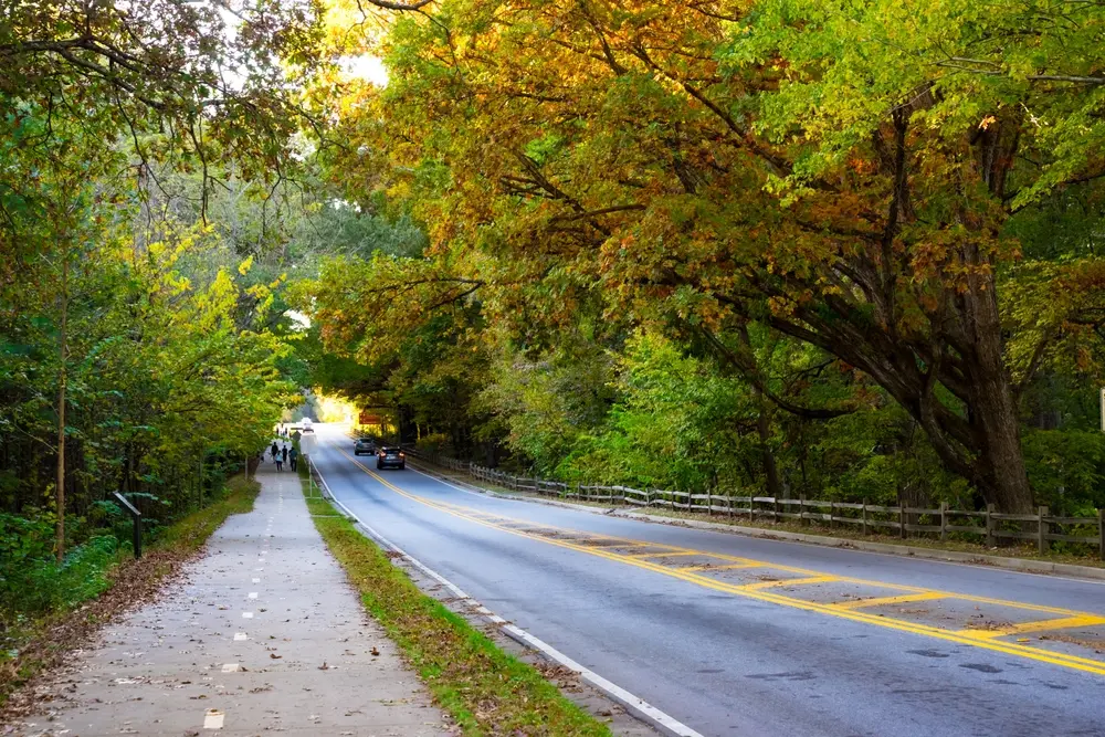 kennesaw-mountain-georgia-road Beautiful views at Kennesaw mountain, Georgia in fall season. Visitors have many options to hike around the beautiful hilly streets or path inside the woods. It is safe walking, jogging on main street