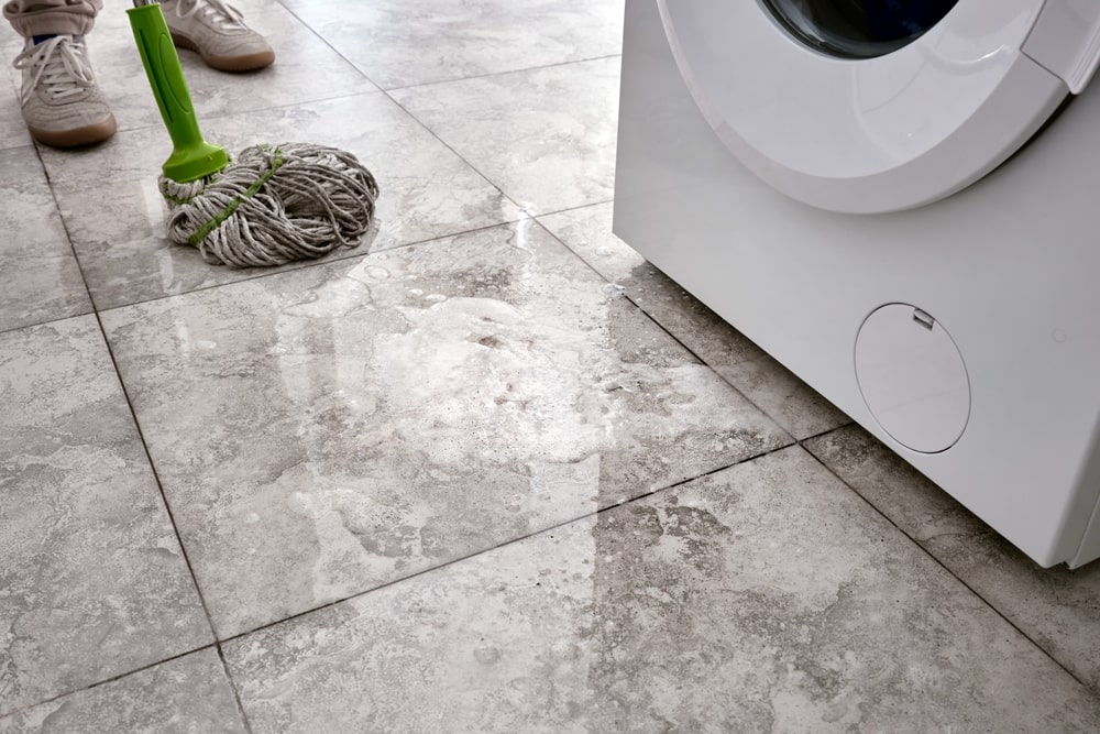 Sewage cleanup services