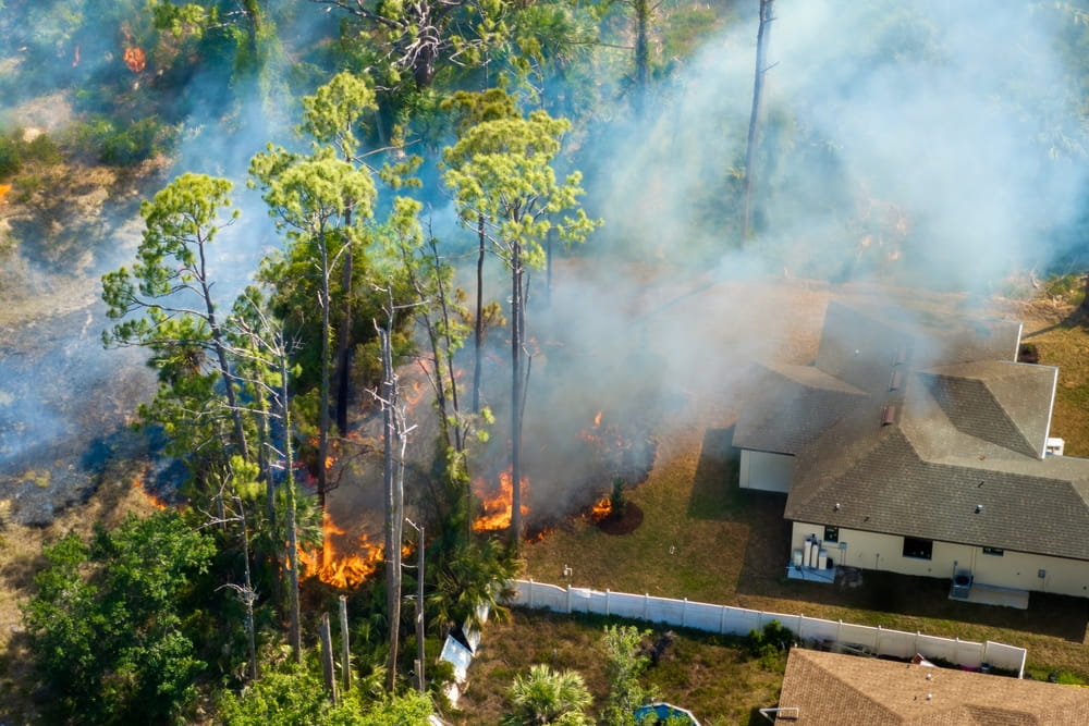 Expert tips on how to get rid of smoke smell in your house.