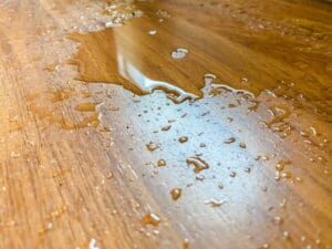 Can Water Damaged Hardwood Floors Be Saved?