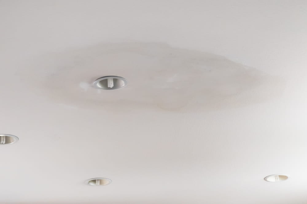 Ceiling Water Damage Repair Guide